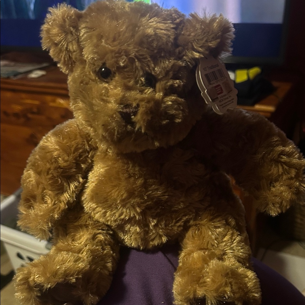 NWT! Plush  Bear